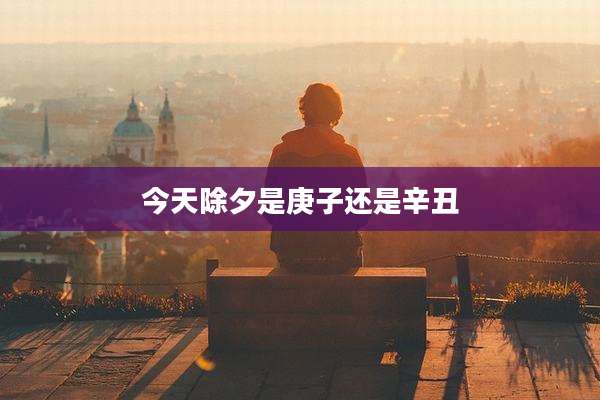 今天除夕是庚子还是辛丑