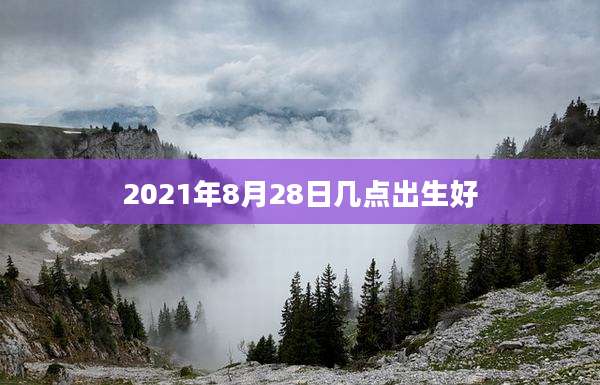 2021年8月28日几点出生好