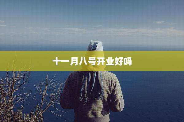 十一月八号开业好吗