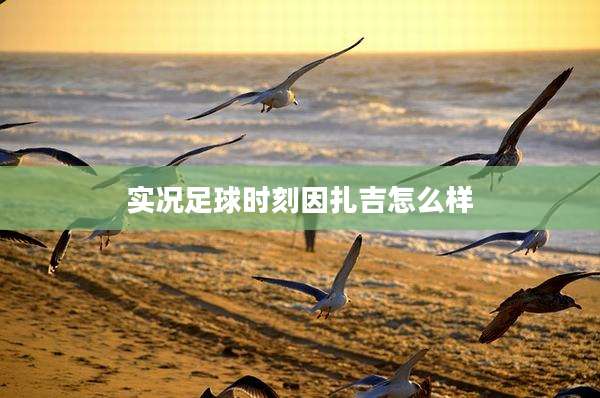 实况足球时刻因扎吉怎么样