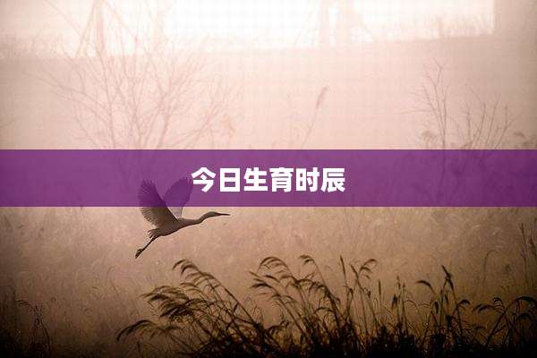 今日生育时辰