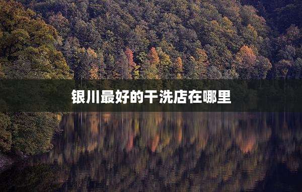 银川最好的干洗店在哪里
