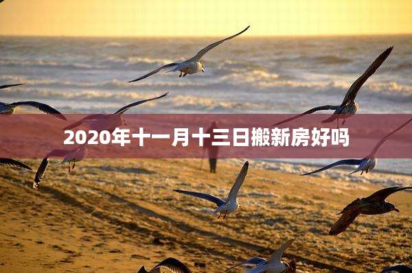 2020年十一月十三日搬新房好吗