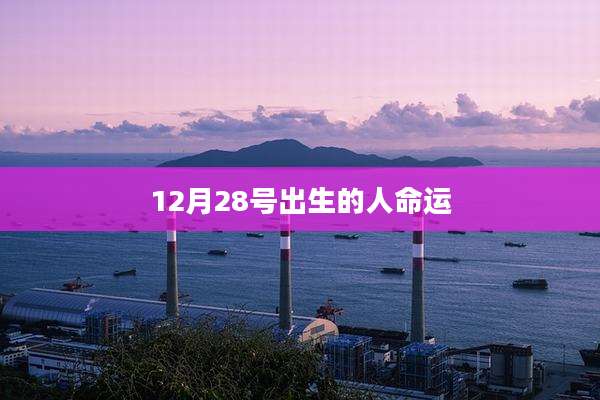 12月28号出生的人命运