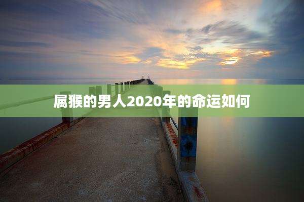 属猴的男人2020年的命运如何