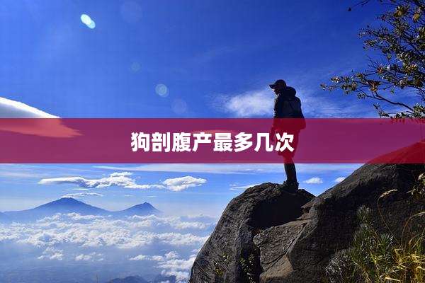 狗剖腹产最多几次