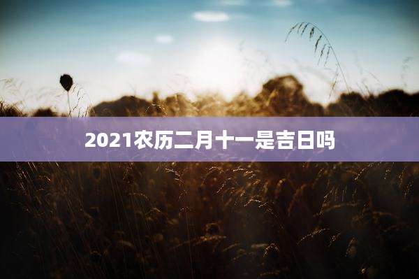 2021农历二月十一是吉日吗