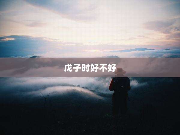 戊子时好不好