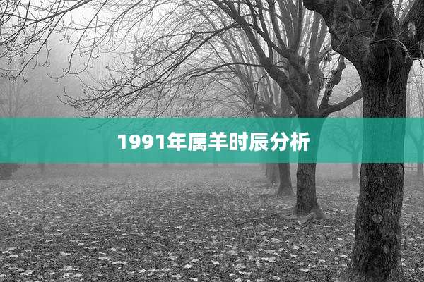 1991年属羊时辰分析