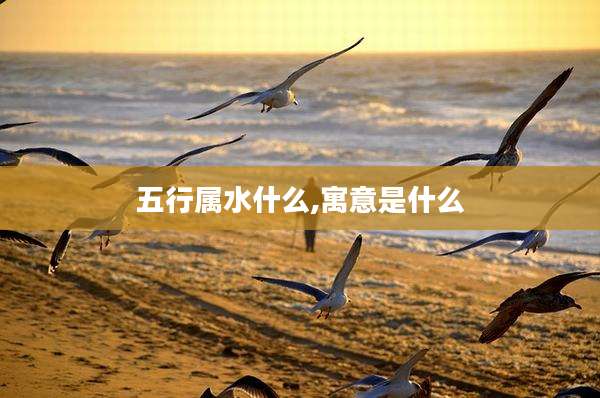 五行属水什么,寓意是什么