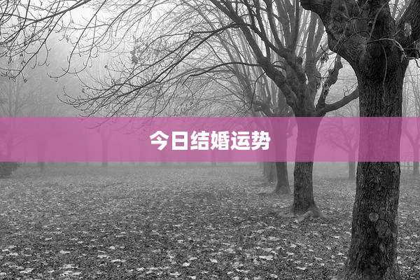 今日结婚运势