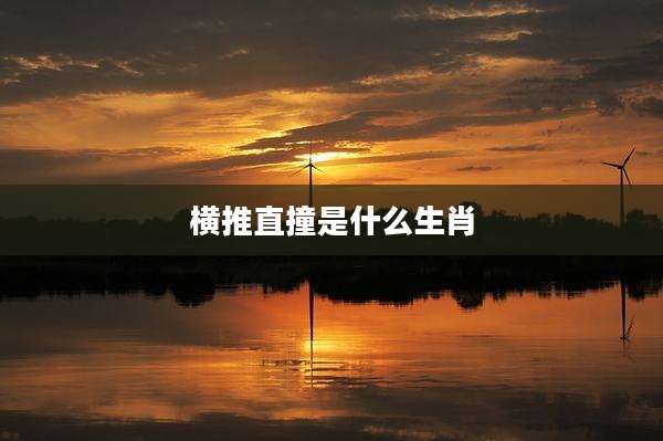 横推直撞是什么生肖