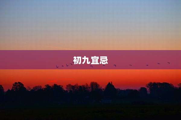 初九宜忌