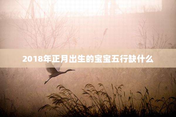 2018年正月出生的宝宝五行缺什么