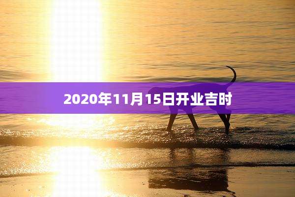 2020年11月15日开业吉时