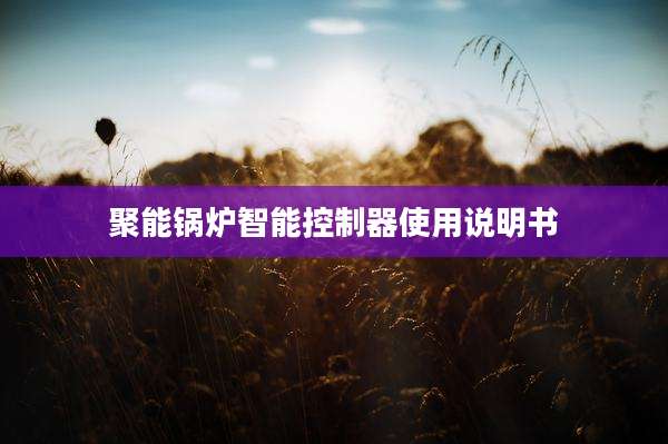 聚能锅炉智能控制器使用说明书