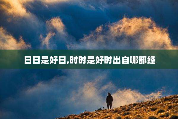 日日是好日,时时是好时出自哪部经