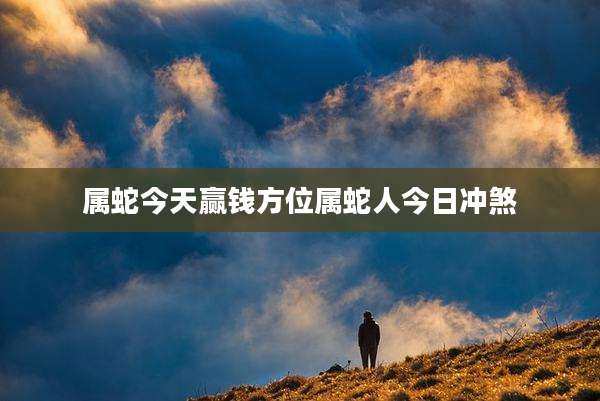 属蛇今天赢钱方位属蛇人今日冲煞