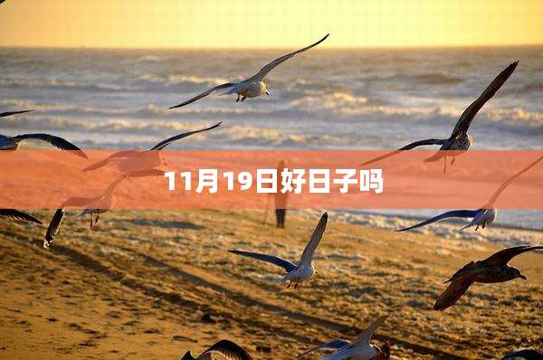 11月19日好日子吗