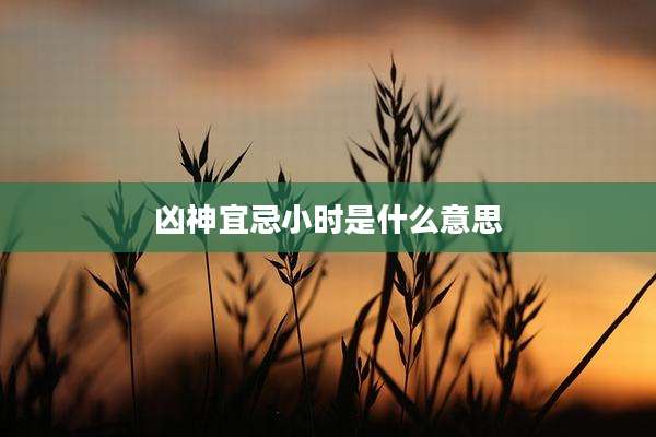 凶神宜忌小时是什么意思