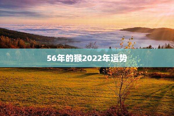 56年的猴2022年运势