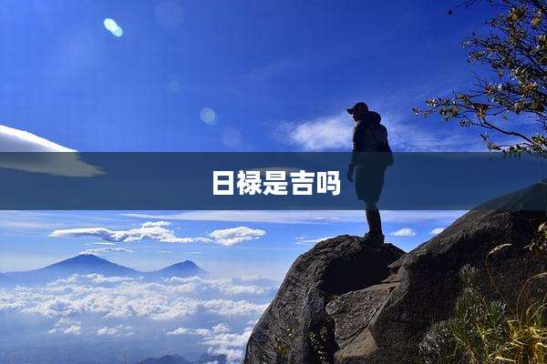 日禄是吉吗
