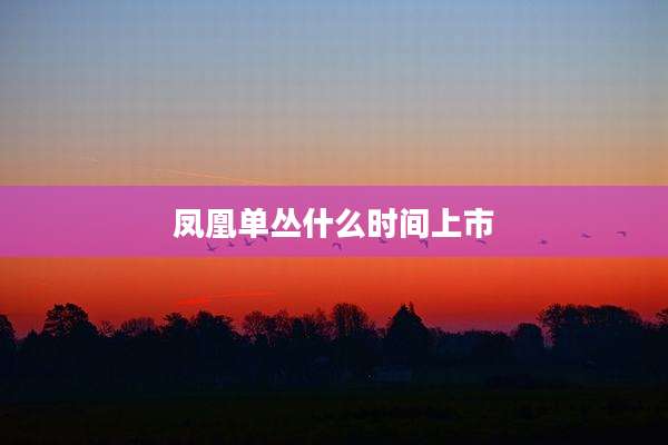 凤凰单丛什么时间上市