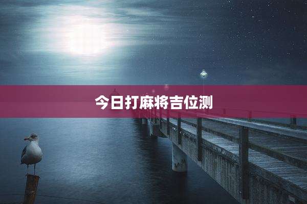 今日打麻将吉位测