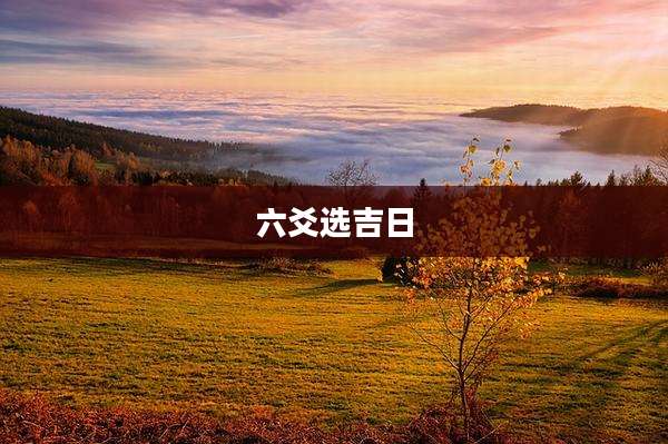 六爻选吉日