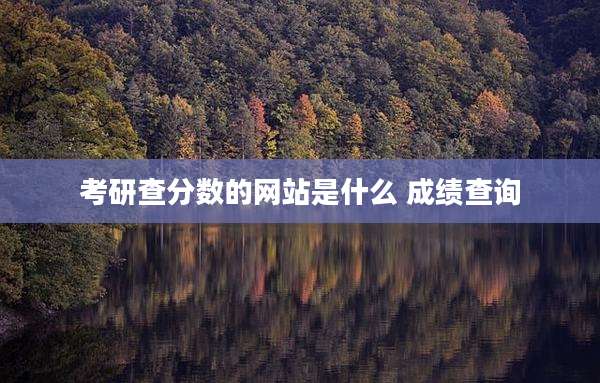 考研查分数的网站是什么 成绩查询