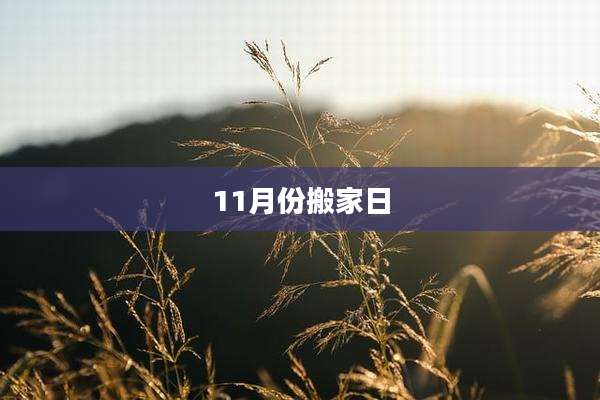 11月份搬家日
