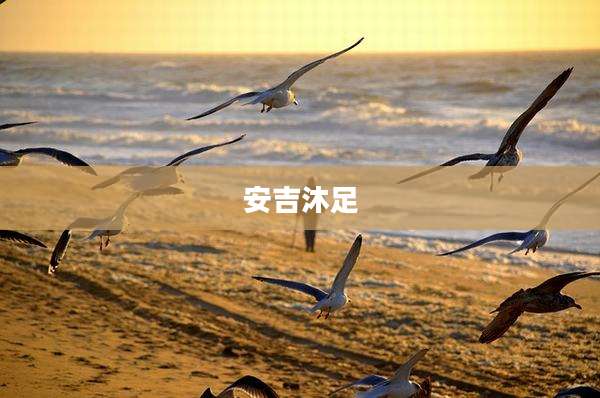 安吉沐足