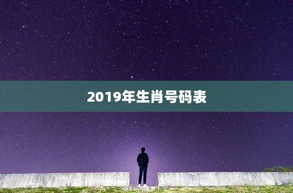 2019年生肖号码表