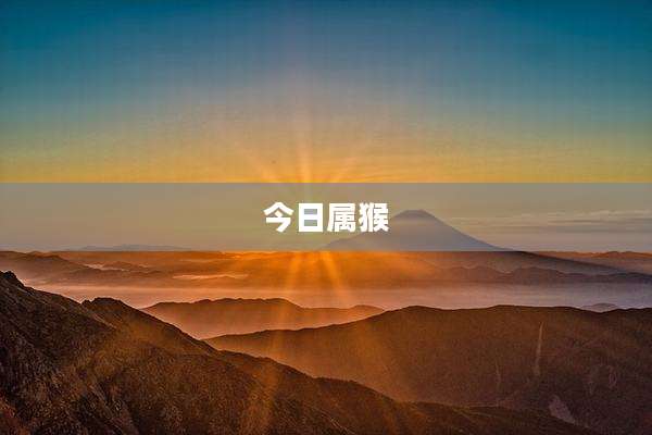 今日属猴