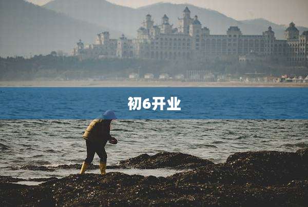 初6开业
