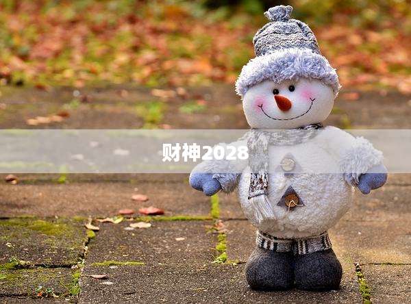 财神2028