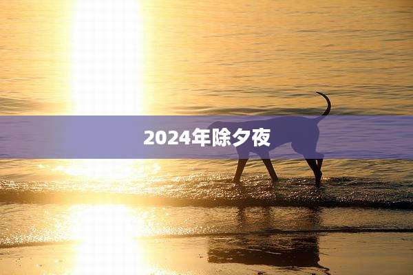 2024年除夕夜