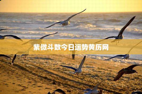 紫微斗数今日运势黄历网