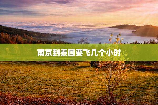 南京到泰国要飞几个小时