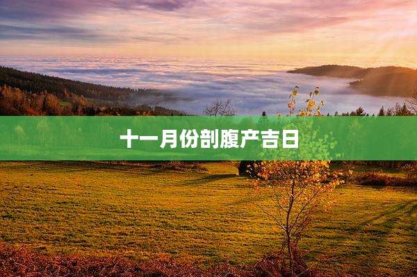 十一月份剖腹产吉日