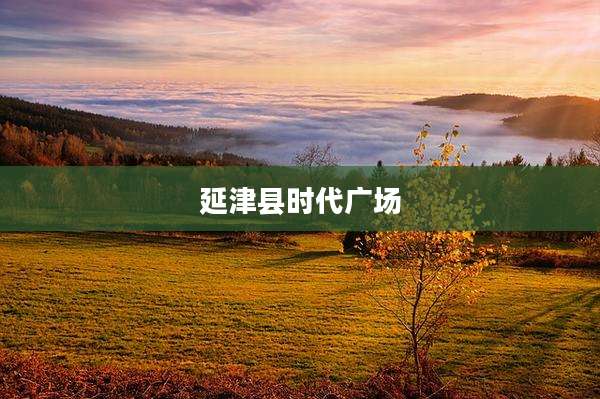 延津县时代广场