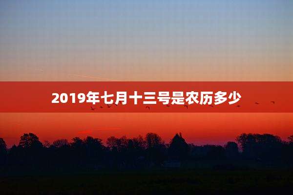 2019年七月十三号是农历多少