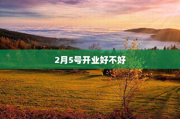 2月5号开业好不好