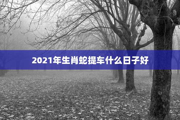 2021年生肖蛇提车什么日子好