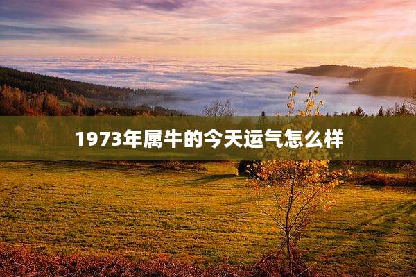 1973年属牛的今天运气怎么样