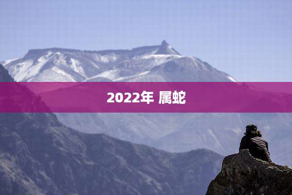 2022年 属蛇