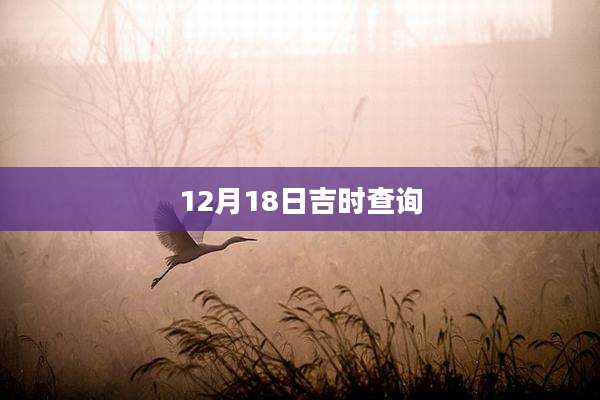 12月18日吉时查询