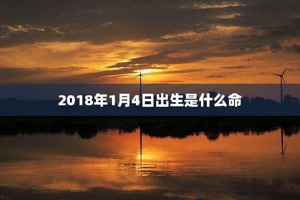 2018年1月4日出生是什么命