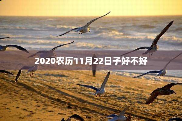 2020农历11月22日子好不好