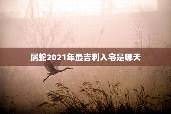 属蛇2021年最吉利入宅是哪天